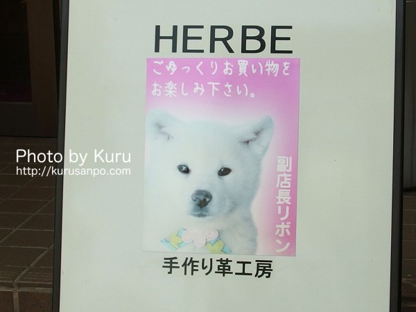 手作り革工房 HERBE(エルブ)でレザークラフト体験♪