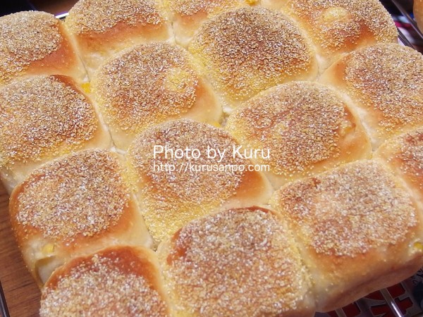 Backe(ベッカ)晶子『パン型付き! 日本一簡単に家で焼けるパンレシピ 【スクウェアパン型付き】』(宝島社)