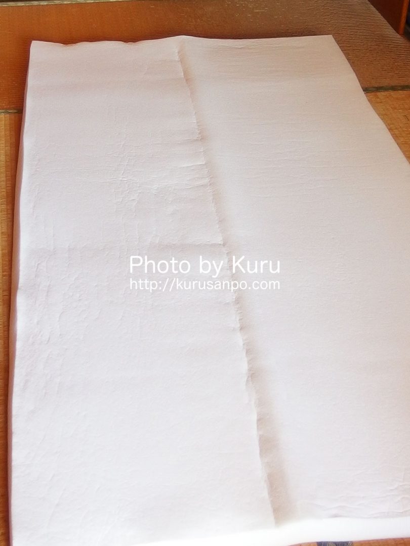 Shop Japan(ショップジャパン)[(株)オークローンマーケティング]『True Sleeper Premium(トゥルースリーパー プレミアム)』