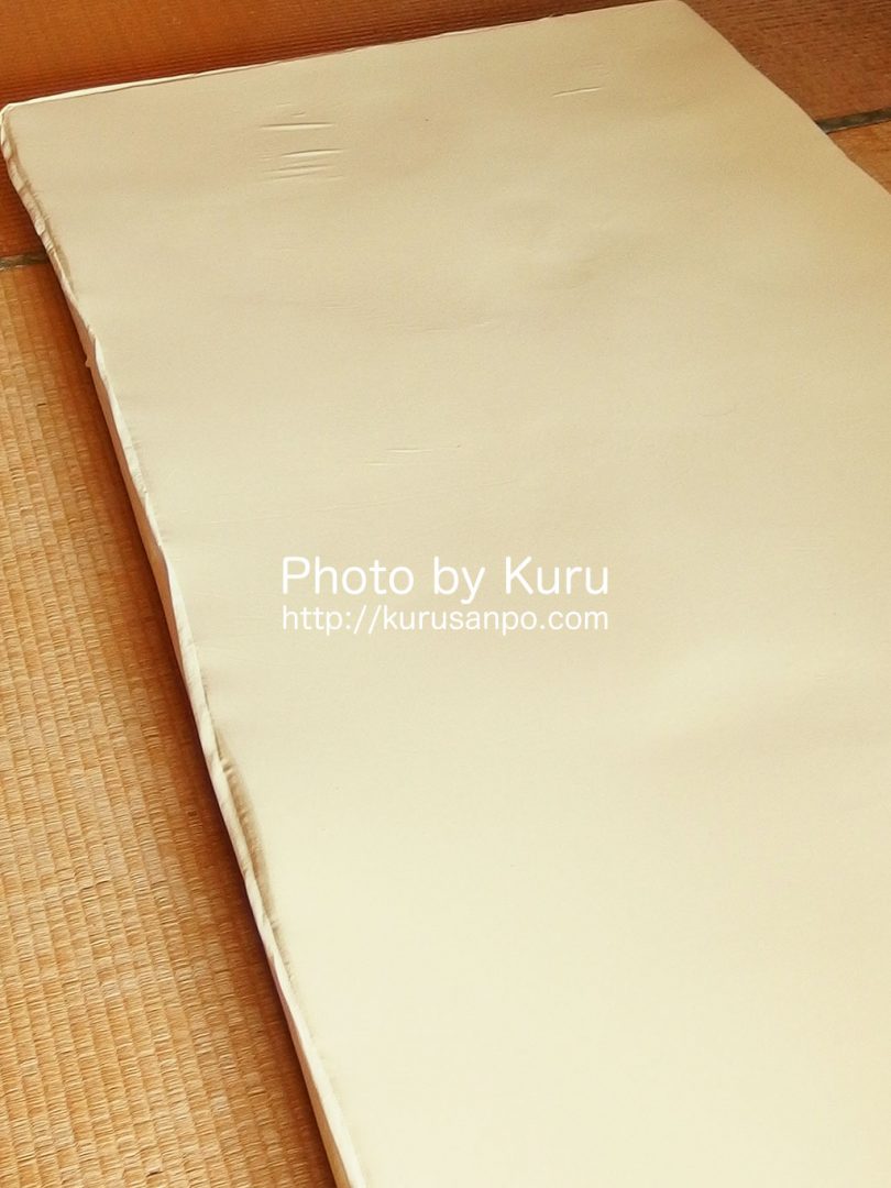 Shop Japan(ショップジャパン)[(株)オークローンマーケティング]『True Sleeper Premium(トゥルースリーパー プレミアム)』