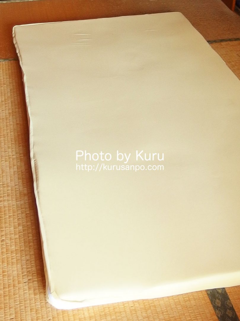 Shop Japan(ショップジャパン)[(株)オークローンマーケティング]『True Sleeper Premium(トゥルースリーパー プレミアム)』